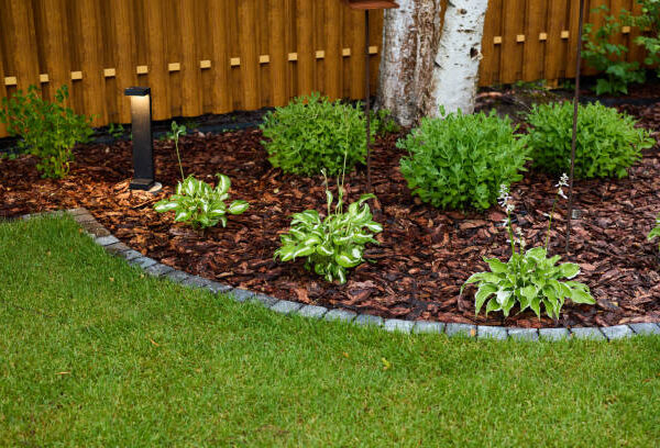 Reliable Landscape Lighting Services in Westworth Village