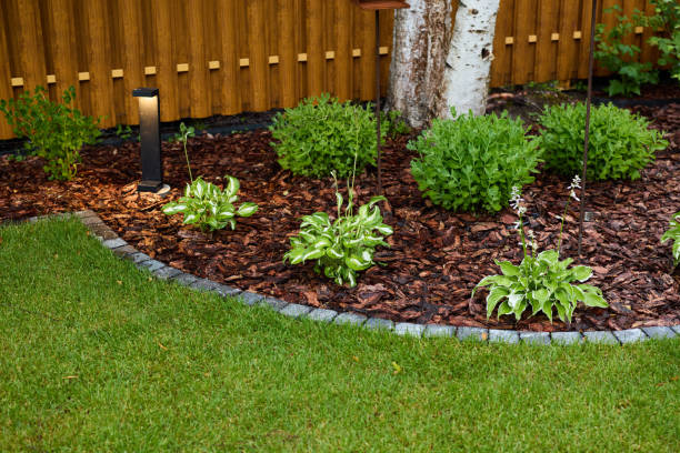 Reliable Landscape Lighting Services in Westworth Village