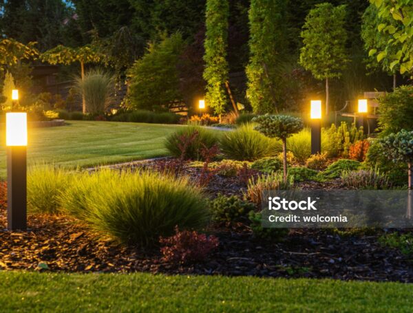 Premium Landscape Lighting Services in Ponder, TX