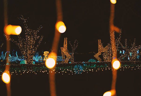 Illuminate Your Outdoors with Expert Lighting Services in Fort Worth, TX