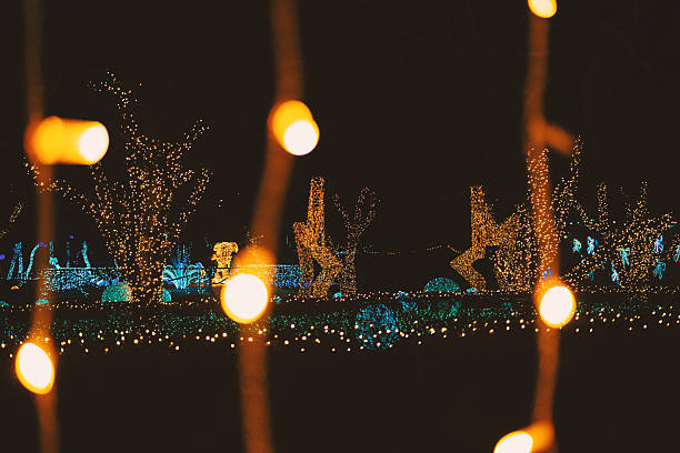 Illuminate Your Outdoors with Expert Lighting Services in Fort Worth, TX